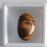 9.70/CT Tiger Eye Gemstone | Premium Quality